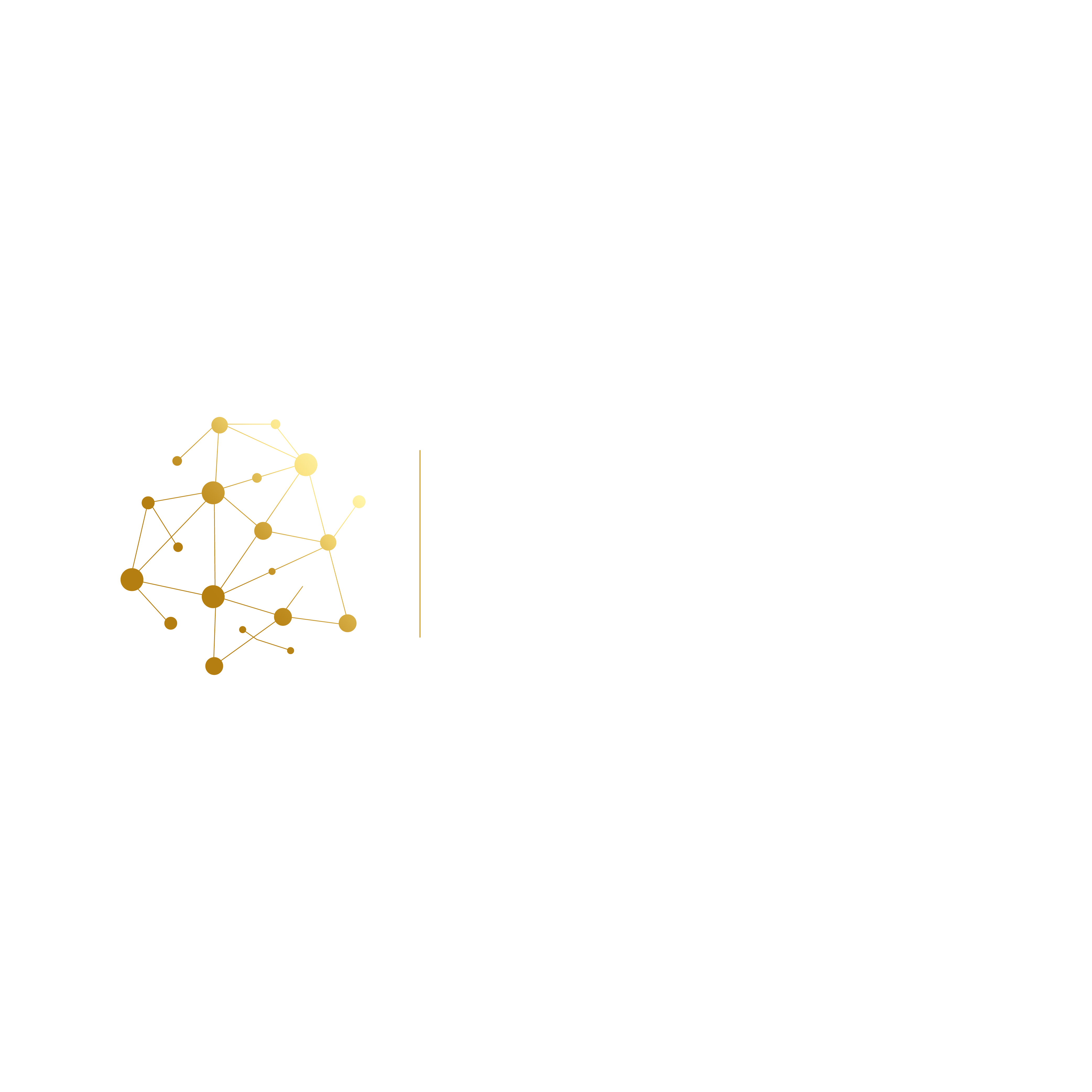 Aurum Mining Ventures Ltd.