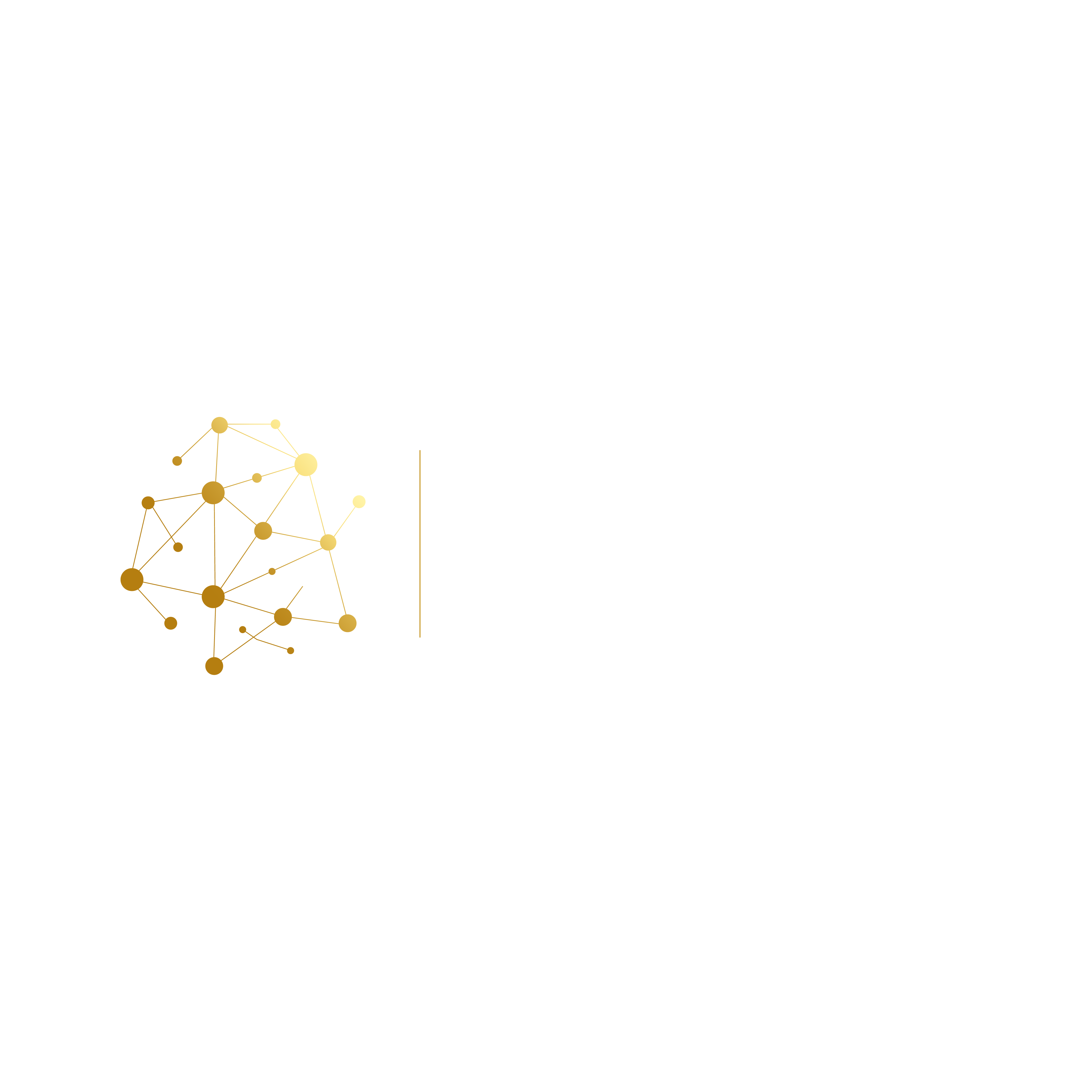 Aurum Mining Ventures Ltd.